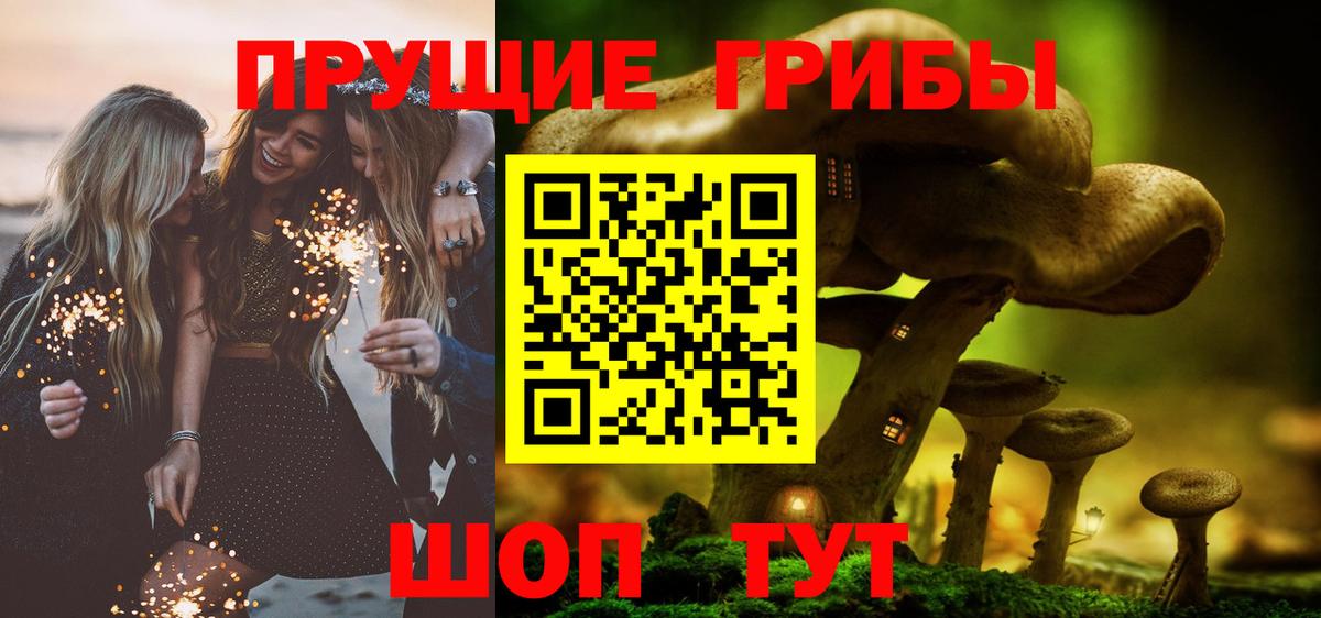 Галлюциногенные грибы Psilocybine cubensis  Вход с VPN  Коркино 